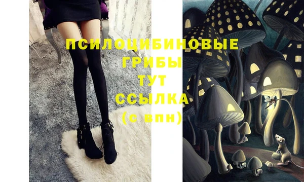 дживик Заволжье