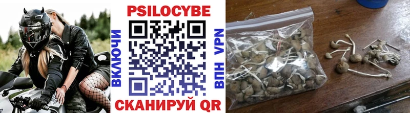 Галлюциногенные грибы прущие грибы  Зарайск 